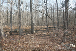 Homes for sale in Mansfield, CT | Beacon Hill Dr, Mansfield, CT 06250 | MLS# 24080249