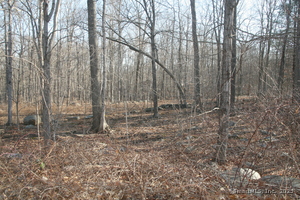 Homes for sale in Mansfield, CT | Beacon Hill Dr, Mansfield, CT 06250 | MLS# 24080249