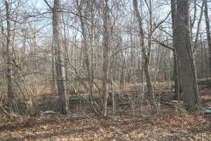 Homes for sale in Mansfield, CT | Beacon Hill Dr, Mansfield, CT 06250 | MLS# 24080249