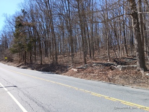 Homes for sale in New Milford, CT | Sherman Rd, New Milford, CT 06776 | MLS# 24078358