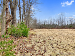 Homes for sale in Colebrook, CT | 00 Colebrook Rd, Colebrook, CT 06021 | MLS# 24081446