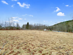 Homes for sale in Colebrook, CT | 00 Colebrook Rd, Colebrook, CT 06021 | MLS# 24081446