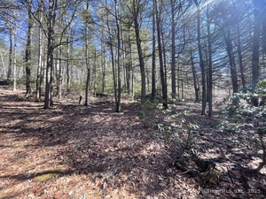 Homes for sale in Colebrook, CT | 50 Pine Rd, Colebrook, CT 06021 | MLS# 24081407