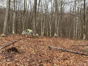 Homes for sale in Sharon, CT | 4 Westwoods Road 2, Sharon, CT 06069 | MLS# 24081776