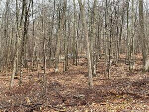 Homes for sale in Sharon, CT | 4 Westwoods Road 2, Sharon, CT 06069 | MLS# 24081776