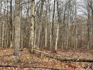 Homes for sale in Sharon, CT | 4 Westwoods Road 2, Sharon, CT 06069 | MLS# 24081776