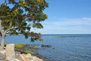 Homes for sale in Westport, CT | 86 Maple Ave S, Westport, CT 06880 | MLS# 24082092