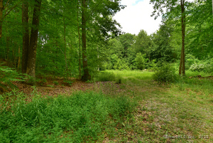 Homes for sale in Vernon, CT | (Undisclosed), Vernon, CT 06066 | MLS# 24082876