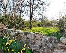 Homes for sale in Stonington, CT | 59 Montauk Ave, Stonington, CT 06378 | MLS# 24081901