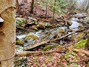 Homes for sale in Hartland, CT | 14 Fyler Rd, Hartland, CT 06027 | MLS# 24084545