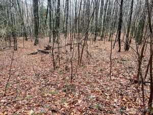 Homes for sale in Hartland, CT | 14 Fyler Rd, Hartland, CT 06027 | MLS# 24084545