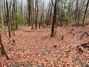 Homes for sale in Hartland, CT | 14 Fyler Rd, Hartland, CT 06027 | MLS# 24084545