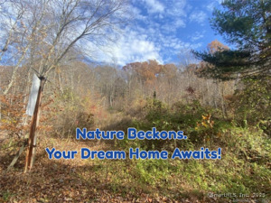 Homes for sale in Haddam, CT | Turkey Hill Rd, Haddam, CT 06438 | MLS# 24085256