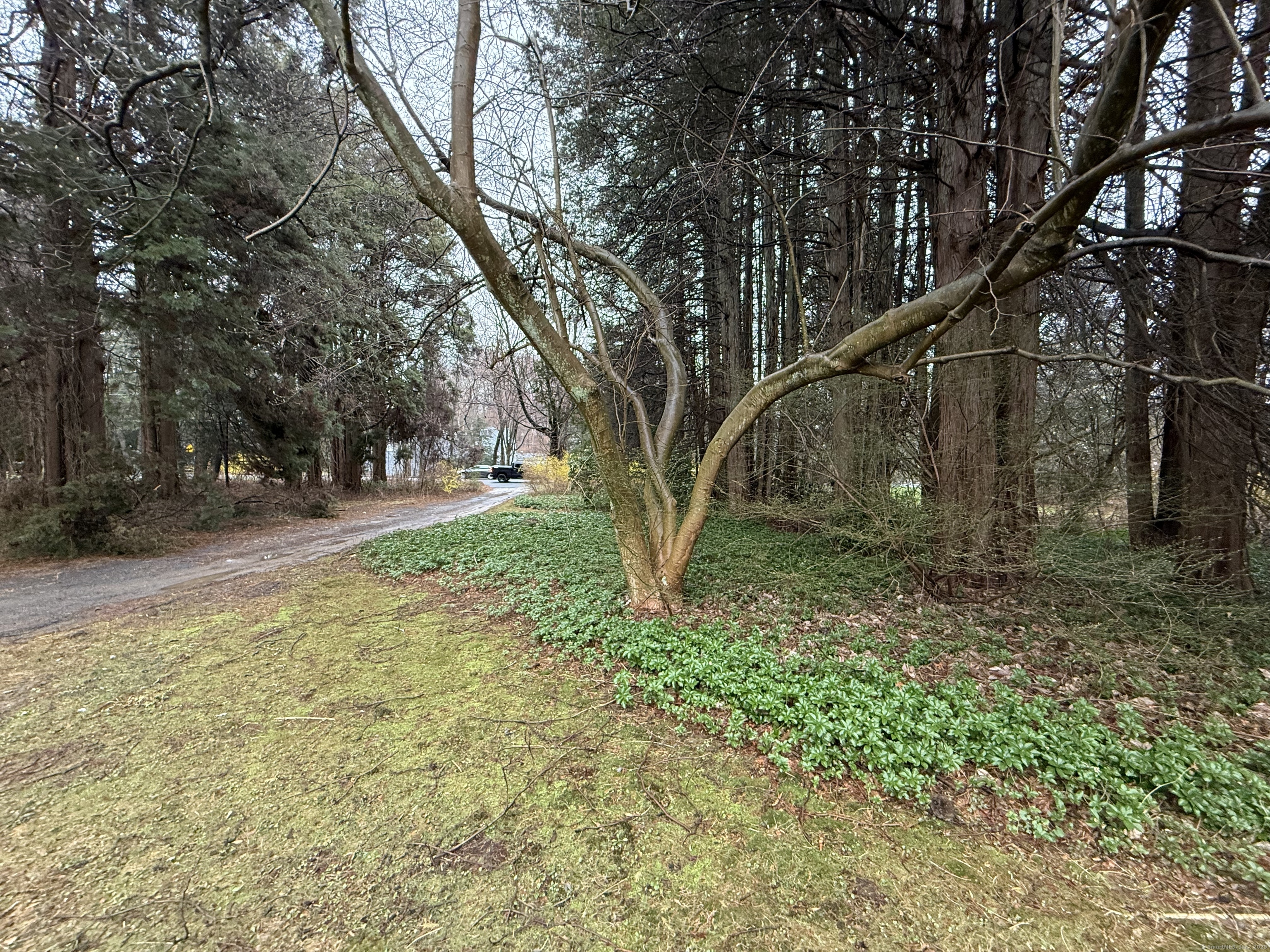 217 Danbury, Ridgefield, Connecticut 06877