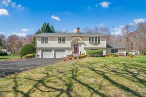 28 Shut Road