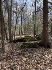 Homes for sale in Roxbury, CT | Lot 4 Chalybes Rd W, Roxbury, CT 06783 | MLS# 24087087