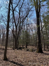 Homes for sale in Roxbury, CT | Lot 4 Chalybes Rd W, Roxbury, CT 06783 | MLS# 24087087