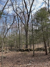 Homes for sale in Roxbury, CT | Lot 4 Chalybes Rd W, Roxbury, CT 06783 | MLS# 24087087