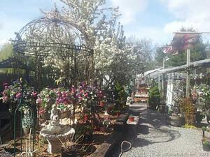 Homes for sale in Naugatuck, CT | 671 Rubber Ave, Naugatuck, CT 06770 | MLS# 24088787