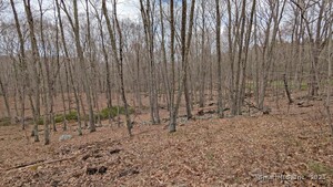 Homes for sale in East Hampton, CT | Lot 4 Collie Brook Rd, East Hampton, CT 06424 | MLS# 24088907