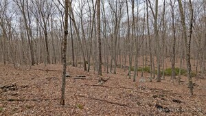 Homes for sale in East Hampton, CT | Lot 4 Collie Brook Rd, East Hampton, CT 06424 | MLS# 24088907