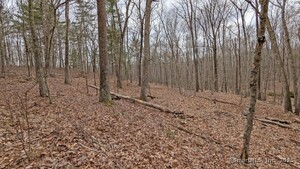 Homes for sale in East Hampton, CT | Lot 4 Collie Brook Rd, East Hampton, CT 06424 | MLS# 24088907