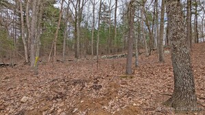 Homes for sale in East Hampton, CT | Lot 4 Collie Brook Rd, East Hampton, CT 06424 | MLS# 24088907