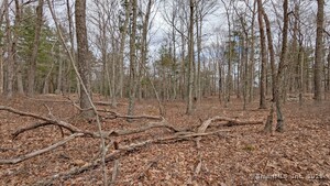 Homes for sale in East Hampton, CT | Lot 4 Collie Brook Rd, East Hampton, CT 06424 | MLS# 24088907