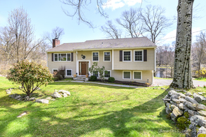 65 Cousins Road