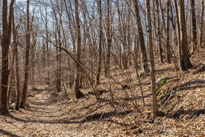 Homes for sale in Plymouth, CT | 574 Washington Rd, Plymouth, CT 06786 | MLS# 24088393