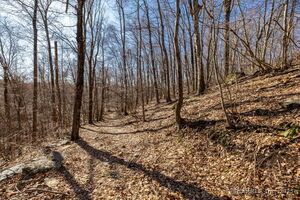 Homes for sale in Plymouth, CT | 574 Washington Rd, Plymouth, CT 06786 | MLS# 24088393