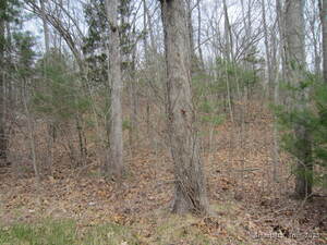 Homes for sale in Killingly, CT | 70 Cutler Rd, Killingly, CT 06243 | MLS# 24089371