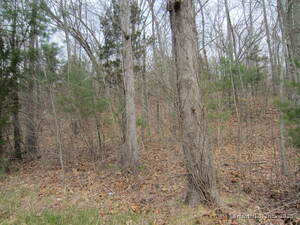 Homes for sale in Killingly, CT | 43 Fallbrook Rd, Killingly, CT 06243 | MLS# 24089370