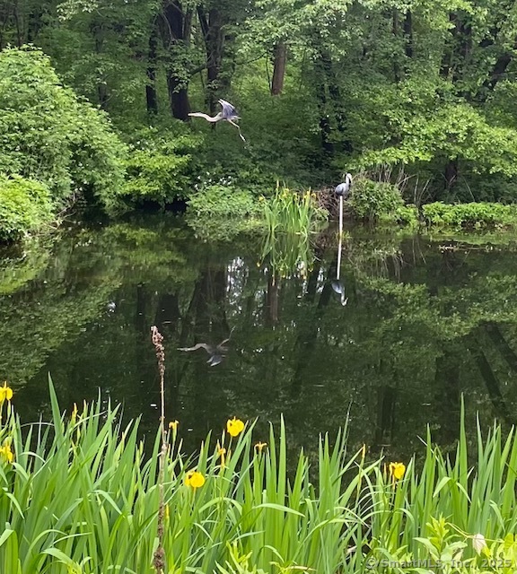 135 Wildwood, Stratford, Connecticut 06614