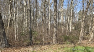 Homes for sale in East Haddam, CT | 00 Mount Parnassus Rd, East Haddam, CT 06423 | MLS# 24089453