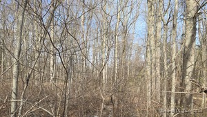 Homes for sale in East Haddam, CT | 00 Mount Parnassus Rd, East Haddam, CT 06423 | MLS# 24089453