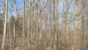 Homes for sale in East Haddam, CT | 00 Mount Parnassus Rd, East Haddam, CT 06423 | MLS# 24089453