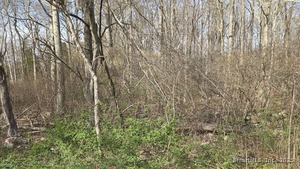 Homes for sale in East Haddam, CT | 00 Mount Parnassus Rd, East Haddam, CT 06423 | MLS# 24089453