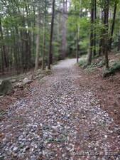 Homes for sale in Cornwall, CT | Railroad St, Cornwall, CT 06753 | MLS# 24089924