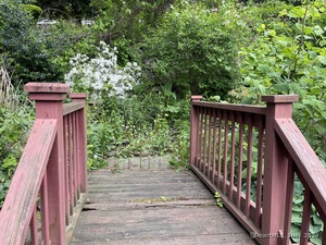 Homes for sale in Waterbury, CT | 198 Charles St, Waterbury, CT 06708 | MLS# 24090016