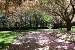 Homes for sale in Ridgefield, CT | 463 N Salem Rd, Ridgefield, CT 06877 | MLS# 24091069