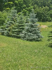 Homes for sale in Stonington, CT | 508 Al Harvey Rd, Stonington, CT 06359 | MLS# 24091517