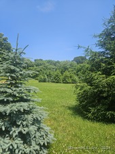 Homes for sale in Stonington, CT | 508 Al Harvey Rd, Stonington, CT 06359 | MLS# 24091517