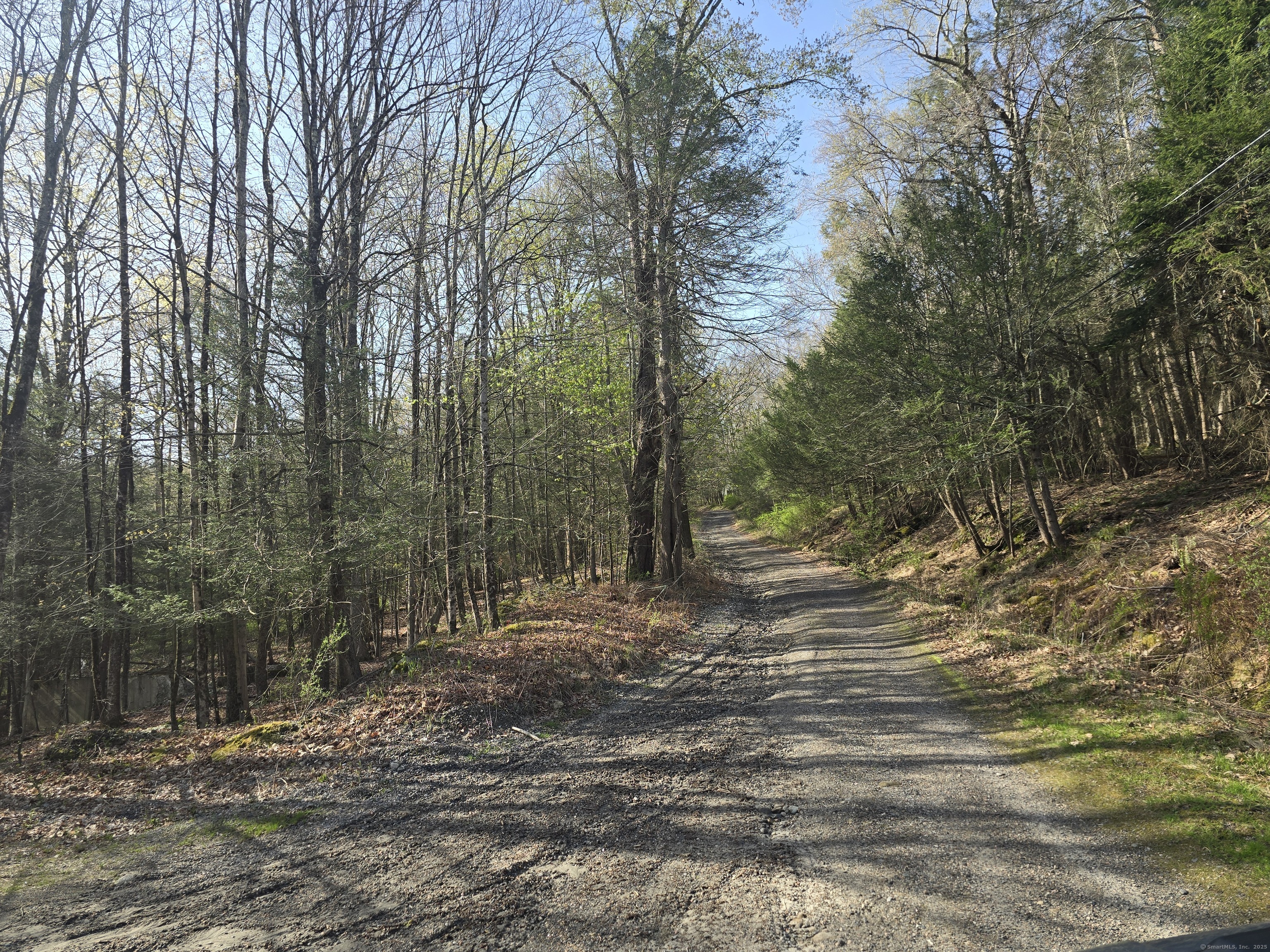 120 Roosevelt Avenue, Litchfield, Connecticut 06750