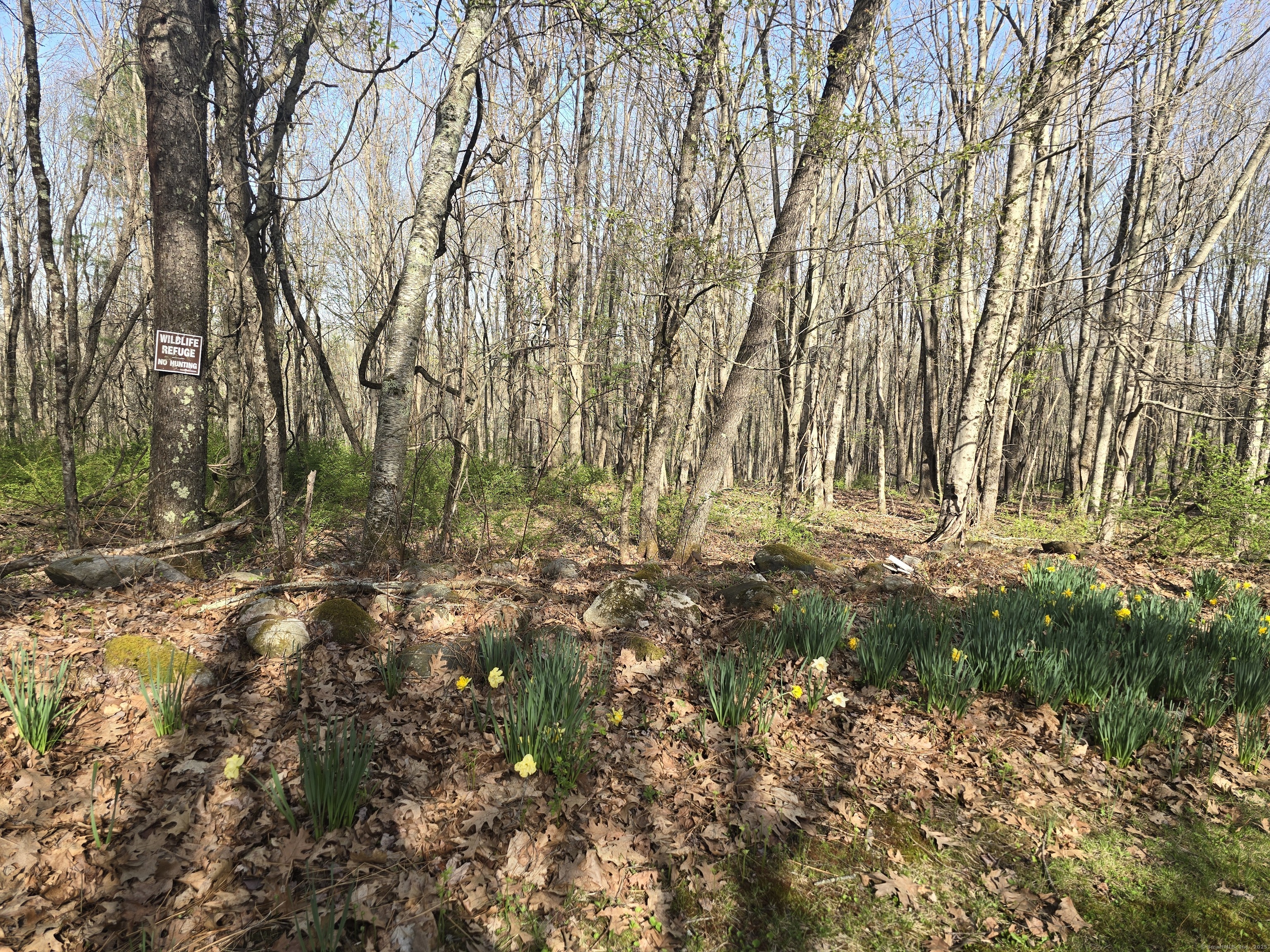 120 Roosevelt Avenue, Litchfield, Connecticut 06750