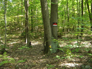 Homes for sale in Ellington, CT | 0 Porter Rd, Ellington, CT 06029 | MLS# 24092073