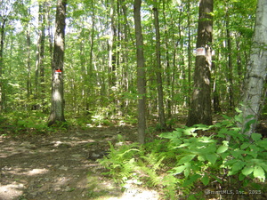 Homes for sale in Ellington, CT | 0 Porter Rd, Ellington, CT 06029 | MLS# 24092073