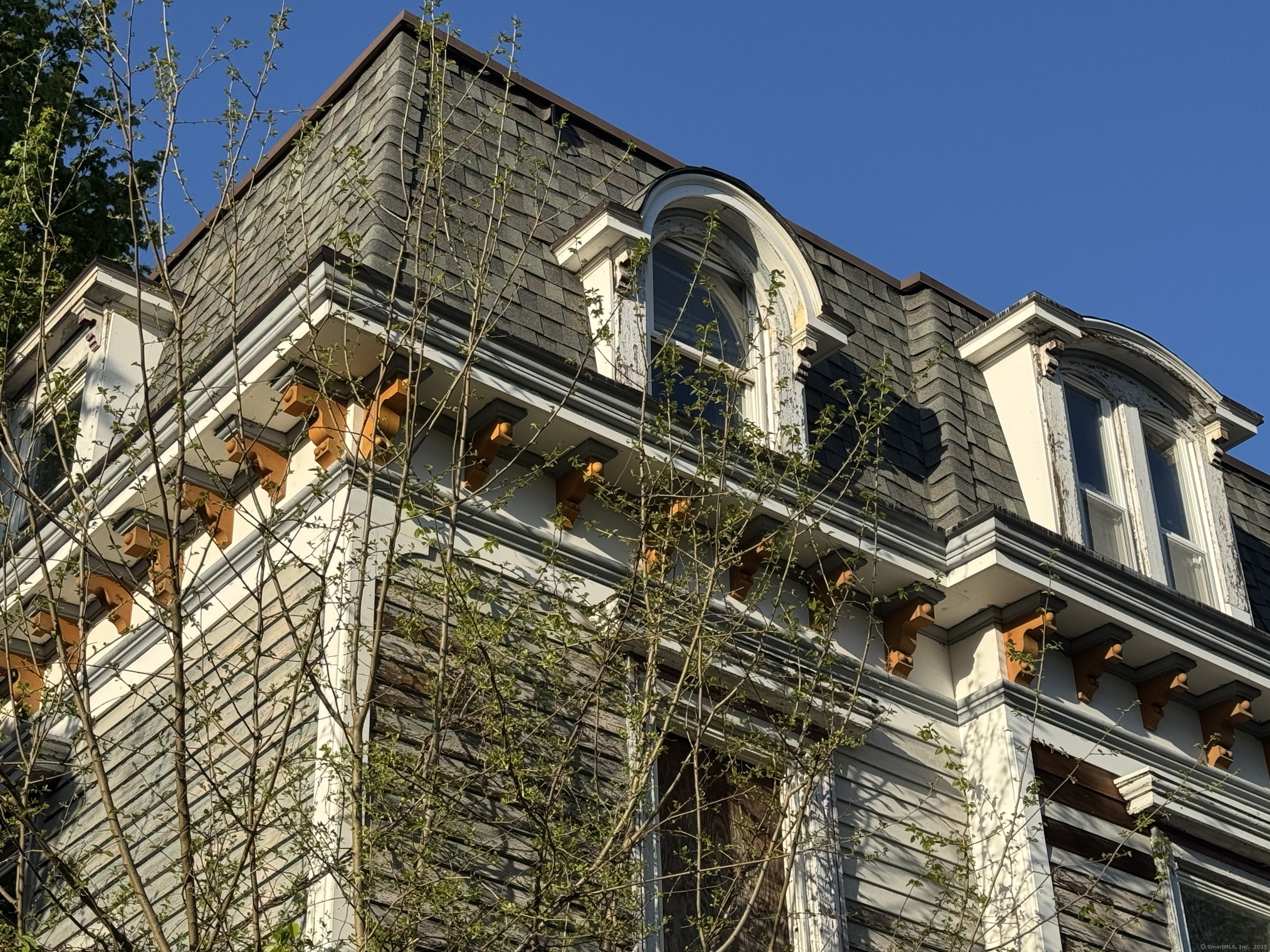 727 Elm, New Haven, Connecticut 06511