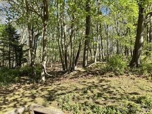 Homes for sale in Waterford, CT | 11 Mamacoke Rd, Waterford, CT 06375 | MLS# 24092286