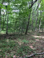 Homes for sale in Haddam, CT | Lots 1 & 2 Jackson Rd, Haddam, CT 06441 | MLS# 24092480